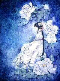冰与火之魔法骑士