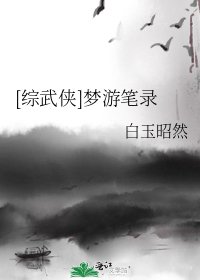 [综武侠]梦游笔录
